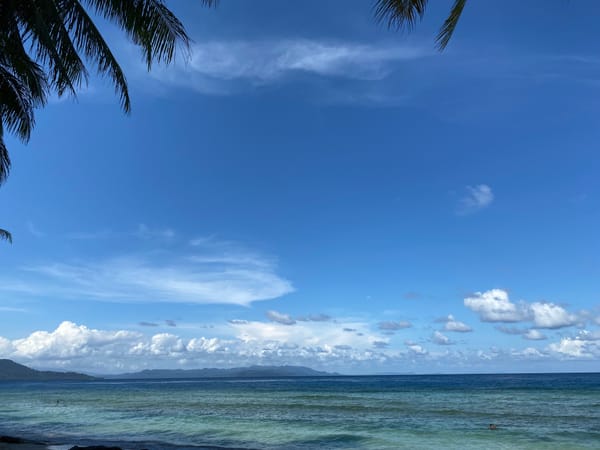 Langit cerah, laut biru, dibingkai daun pohon kelapa